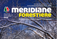 Revista Meridiane Forestiere nr. 6 decembrie 2014