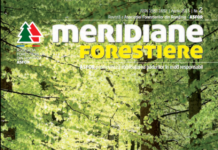 Revista Meridiane Forestiere nr. 2 aprilie 2015