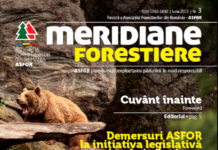 Revista Meridiane Forestiere nr. 3 iunie 2015