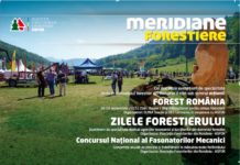 Supliment Zilele Forestierului 2015