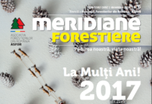 Revista Meridiane Forestiere nr. 6 decembrie 2016