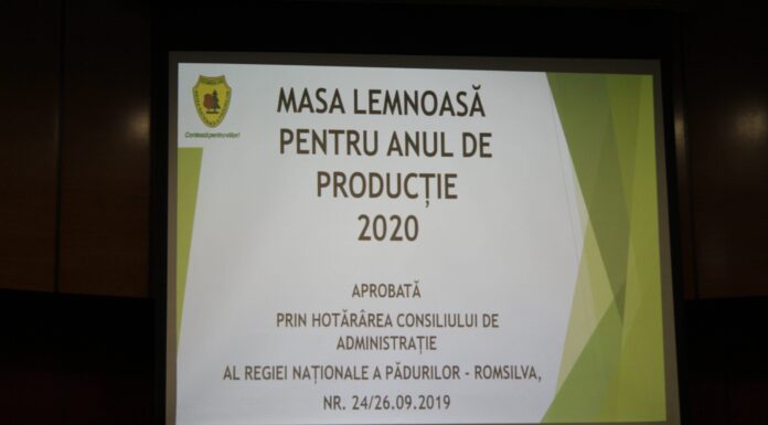 Oferta RNP Romsilva pentru anul 2020