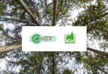 Asociația Forestierilor din România – ASFOR membră CEETTAR
