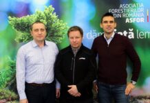 Utilizarea capului procesor în activitatea de recoltare și sortare a lemnului