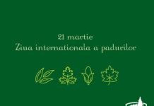 21 MARTIE – ZIUA INTERNAŢIONALĂ A PĂDURILOR