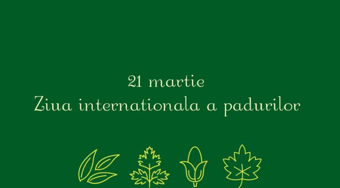 21 MARTIE – ZIUA INTERNAŢIONALĂ A PĂDURILOR