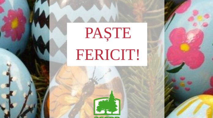 paste fericit