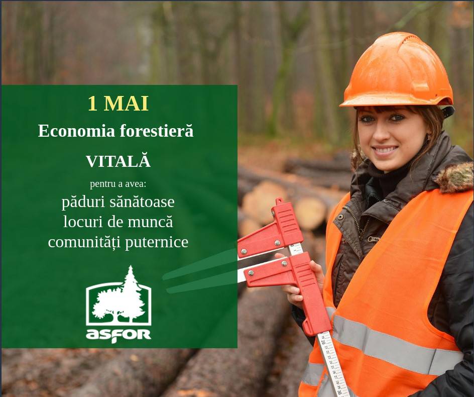 Economia-forestieră- -Mai