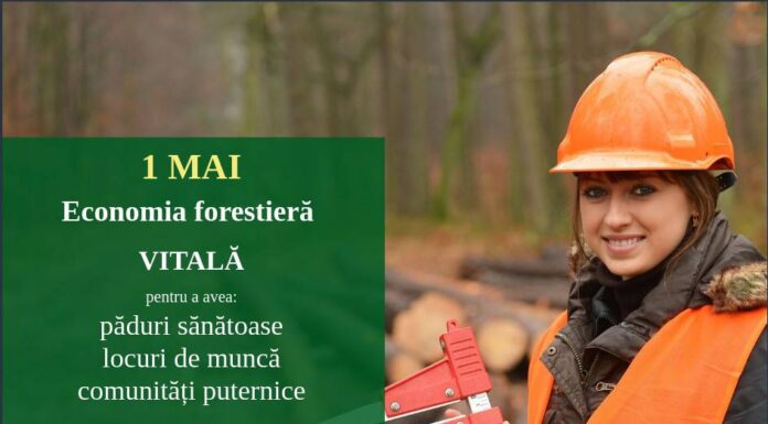 Economia-forestieră- -Mai