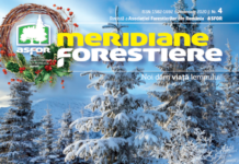 Meridiane-Forestiere-nr -din-