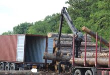 camion lemn