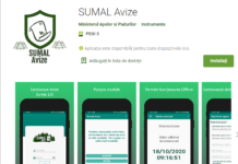 sumal avize