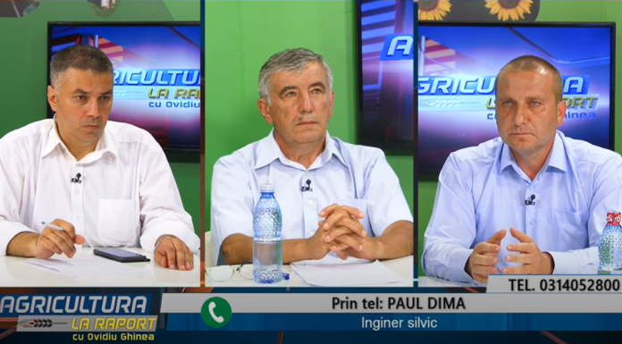 agro tv