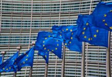 European-Union-Task-Group