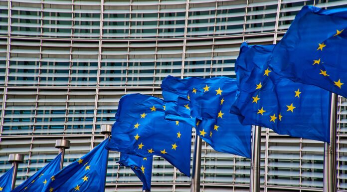 European-Union-Task-Group
