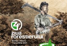 zf