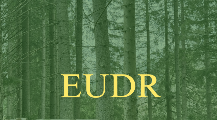 Parlamentul European a amânat aplicarea EUDR și a aprobat o nouă categorie „fără risc”