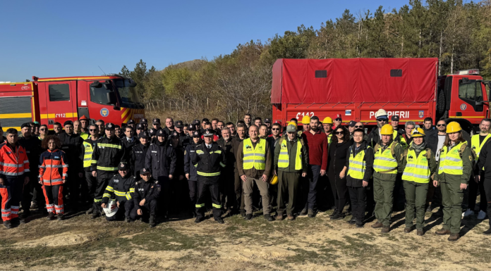 Inovație și colaborare în protejarea fondului forestier: proiectul TREEADS în România