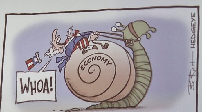 Piața mondială a lemnului la nivelul lunii octombrie. Europa mizează pe construcțiile din lemn.