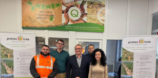 Model de industrializare sustenabilă la Timișoara. Smartwood transformă lemnul românesc în lider mondial prin valoare adăugată și tehnologie