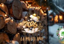 Un an al verticalității și al echilibrului.