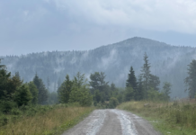 Dincolo de zgomotul de fond: Măsura demnității noastre naționale și pariul digital al României