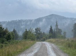 Dincolo de zgomotul de fond: Măsura demnității noastre naționale și pariul digital al României