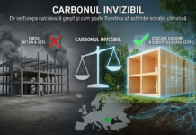 Chimie, nu ideologie: Cum poate România să transforme „problema pădurilor” în soluție climatică