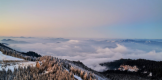 Protecție prin gestionare, nu prin abandon