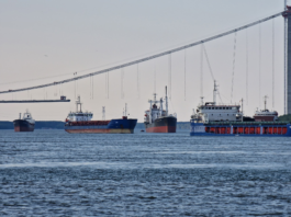 Geopolitica lemnului: Când blocajul din Hormuz lovește în reziliența economică a României