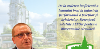 Biomasa forestieră: energia curată a pădurilor româneşti — şi de ce ASFOR o promovează la Green Energy Expo 2026