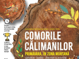 Educație prin artă și cultură: start pentru concursul «Comorile Călimanilor»